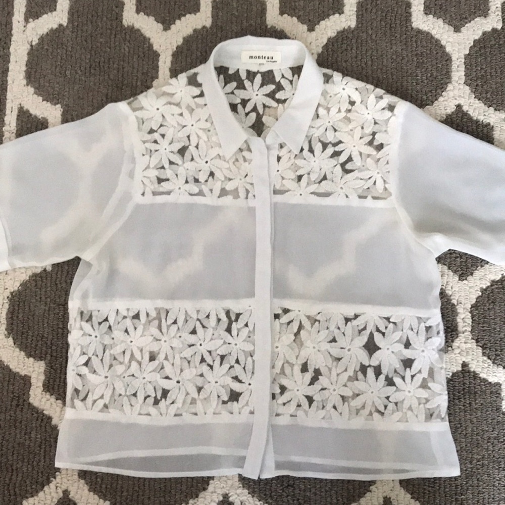 Crop sheer blouse